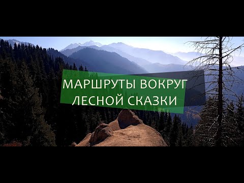 Видео: Маршруты вокруг "Лесной Сказки". Горы Алматы.
