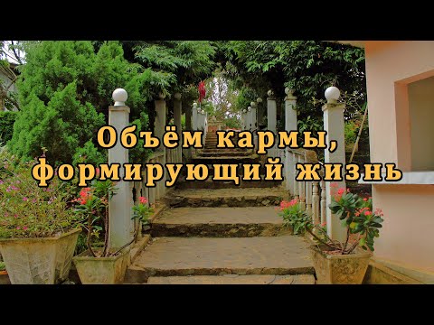 Видео: Объём кармы, формирующий жизнь