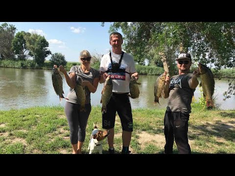 Видео: Наловили много Карпов В гостях у Рыбачка, Беляевка-Турунчук 2021