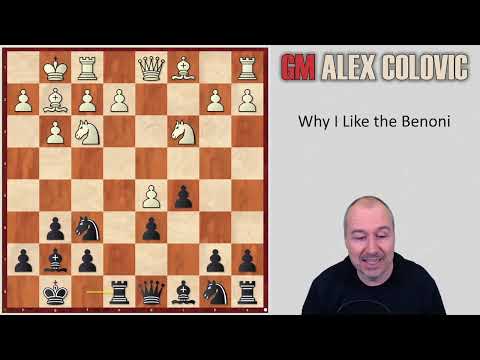 Видео: Почему мне нравится Бенони