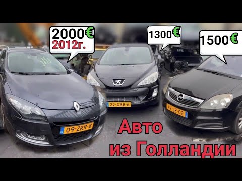 Видео: Цены в Голландии Renault Megan GT, Opel Zafira, Cosmo Pegeot 308. Авторынок в Нидерланды.