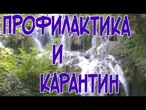 Видео: ПРОФИЛАКТИКА и КАРАНТИН ДИСКУСОВ.  Пруд Остается прозрачным даже 43 градусном жаре.