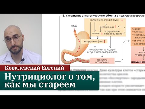 Видео: Как мы стареем? Онлайн-курс по нутрициологии. Ковалевский Евгений