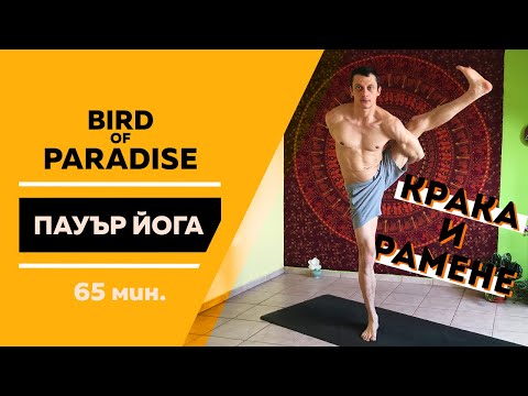 Видео: Поза Bird of Paradise (live) / Пауър йога с Цветомир