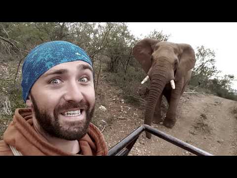 Видео: ЕМИСИЈА СУПЕР ЅВЕЗДА 2017 - ВОЈО ИВАНОВ