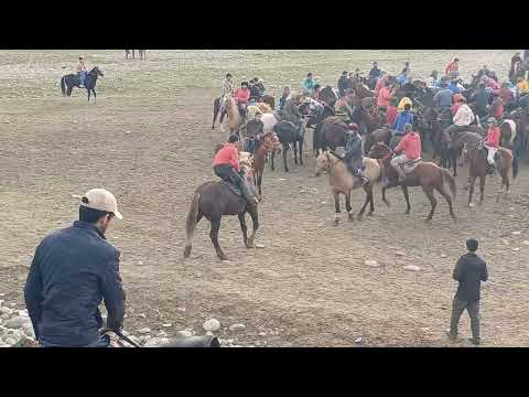 Видео: БУЗКШИ ХОВАЛИНГ МАҲАЛАИ ПЕМКА 17.11.2024
