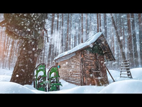 Видео: ХИЖИНА В ЛЕСУ ОБОГРЕЛА И УКРЫЛА МЕНЯ ОТ СНЕГА. ЗАНАВЕСКА НА ОКНО. СЫТНЫЙ УЖИН.