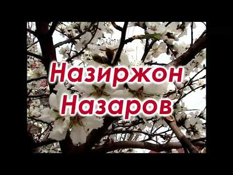 Видео: Назиржон Назаров