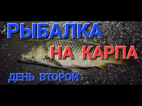 Видео: РЫБАЛКА НА КАРПА, ДЕНЬ ВТОРОЙ