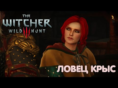 Видео: ИЗ БОЛОТ В ГОРОД: НА ПОИСКИ ТРИСС #22 | THE WITCHER 3: WILD HUNT