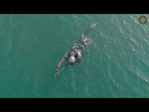 Видео: БЕЛОРУССКИЕ МАЛЬДИВЫ. ПОДВОДНАЯ ОХОТА (КОМПАС №62)