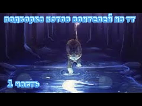 Видео: подборка //Коты Воители// из тик тока //1 часть //  by : Smoky Star #возродимрукв. #котывоители #кв
