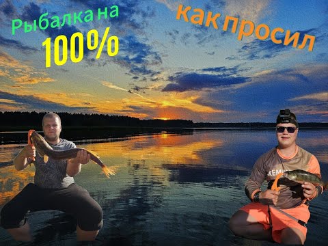 Видео: ПОПАЛИСЬ ВСЕ ! РЫБАЛКА ЛЕТО 2024 .