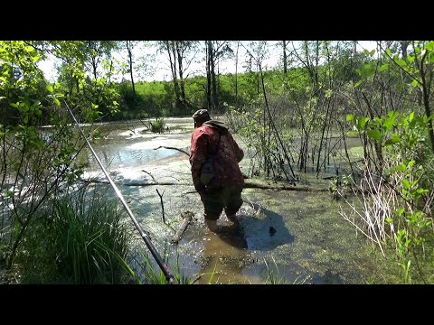 Видео: Лучший улов на рыбалке карасёвом  пруду