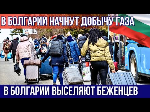 Видео: 2025 Болгария выселяет беженцев из бесплатного жилья.В Болгарии газ. Падение спроса на недвижимость?