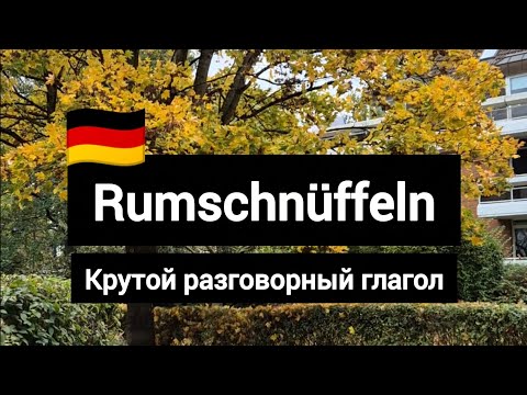 Видео: Rumschnüffeln - очень интересный разговорный глагол #немецкий #deutsch