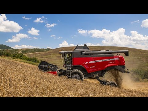 Видео: FS 25 Максимальная сложность карта ZIELONKA - Много работы на комбайне Farming Simulator 25 серия 14