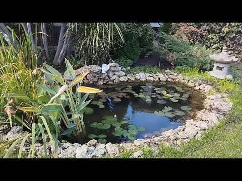 Видео: Мысли в слух... 🌹🌹🌹