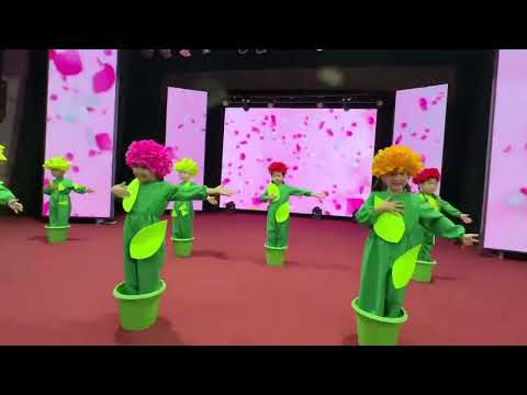 Видео: "Гүлдер" биі. "Менің елім- менің бақытты балалық шағым" республикалық байқауы.