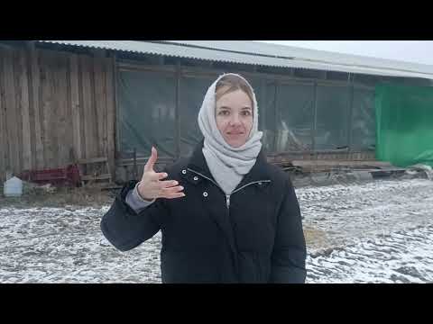 Видео: Наши русские немцы!