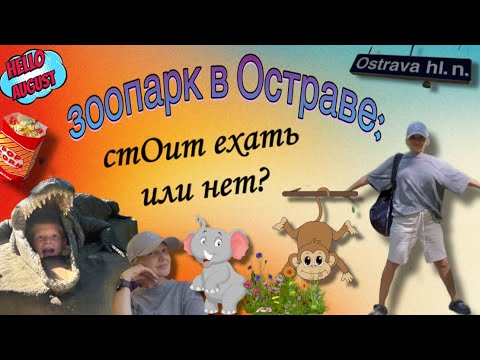 Видео: ВИДЕОДНЕВНИК🇨🇿🇺🇦/ЗООПАРК В ОСТРАВЕ - ДА ИЛИ НЕТ?🐒🐥/ ХОТ-дог ПО-ПОЛЬСКИ😄🌭/