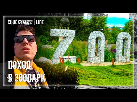 Видео: ЧАКИ В ЧЕЛЯБИНСКОМ ЗООПАРКЕ Что Он Увидел? Я Посетил ЧЕЛЯБИНСКИЙ ЗООПАРК И Был Поражён!