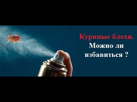 Видео: Куриные блохи, вши, клещи и т.д.Как от них избавиться, вывести, уничтожить? Часть 1.Сарай, курятник.