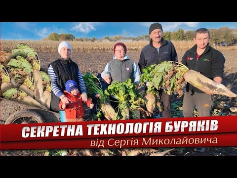 Видео: 🇺🇦Буряк вродив "ЯК КОБИЛЯЧА ГОЛОВА" Секретні технології вирощування буряка в домашніх умовах!