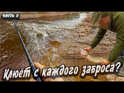 Видео: Щука Язь Хариус | Северный Тиман 2025