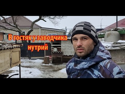 Видео: В ГОСТЯХ У НУТРИЕВОДА.  Беседуем и смотрим его нутрий.