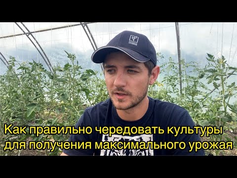 Видео: Севооборот. Обогащение истощенной почвы. Профилактика болезней и вредителей.