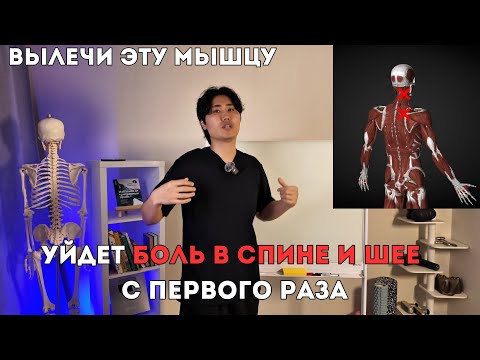 Видео: Устрани БОЛЬ В СПИНЕ И ШЕЕ с первого раза. Лучший комплекс упражнений.