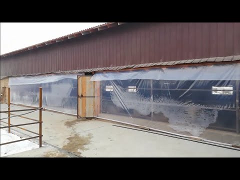 Видео: Сарай жн  эн керектуу кенештер.