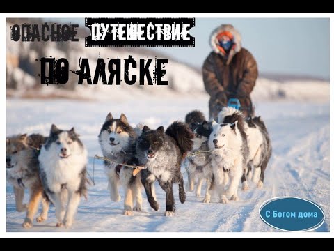 Видео: Опасное путешествие по Аляске | 5 Часть