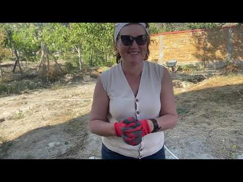 Видео: Как выращивать растения в жарком климате Часть 2