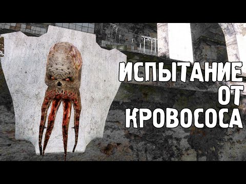 Видео: Храм кровососов. Между Небом и Землёй. STALKER #5