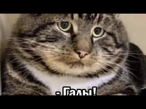 Видео: Нападения через инет