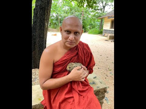 Видео: Бханте Ньянасиха. Лекция "Yoniso manasikāra (Мудрое размышление)".