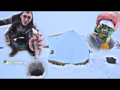 Видео: ПОСТАВИЛИ ПАЛАТКУ, ЗАКОРМИЛИСЬ и ОНА ПРИПЛЫЛА!!! +РЕЦЕПТ ТЕСТА