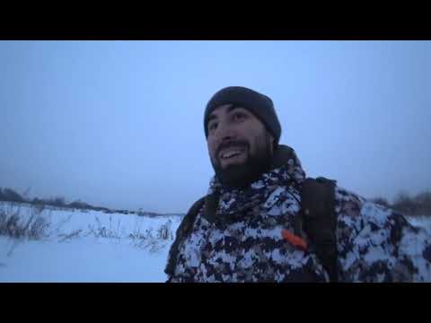 Видео: ЗИМНИЙ СПИННИНГ. Ловля на джиг в окрестностях Чулково, на нижней Москва реке.