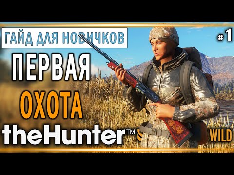 Видео: theHunter Call of the Wild #1 🔫 - Первая Охота - ГАЙД для Начинающих