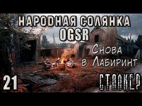 Видео: Атака Военных и Шкатулка в Лабиринте - NS OGSR #21