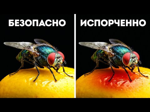 Видео: Факты, которые заставят вас сказать "Что?" не один раз