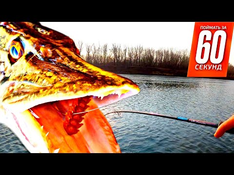 Видео: Как легко поймать щуку на спиннинг! Стоянки щуки на малой реке. ОСЕННЯЯ РЫБАЛКА НА ЩУКУ.