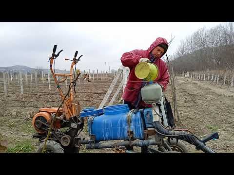 Видео: Опрыскивание ягодных весной.