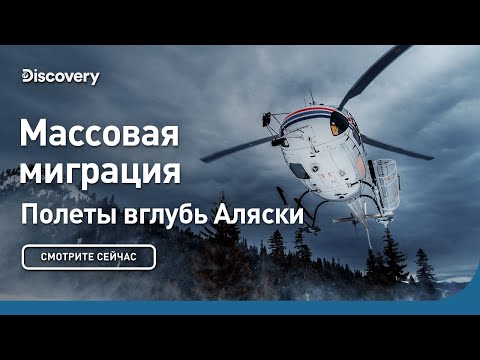 Видео: Массовая миграция | Полеты вглубь Аляски | Discovery
