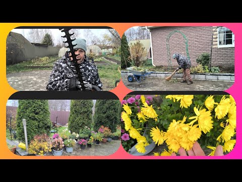 Видео: Отметили праздник в огороде 💃🕺🤩 Жизнь в деревне.Хроника дня.