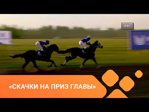 Видео: «Скачки на приз главы» (28.06.21)