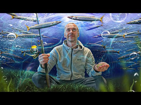 Видео: РЫБА-ТОРПЕДА! Ловля СКУМБРИИ И ХЕКА с берега в Норвегии.Морская рыбалка.