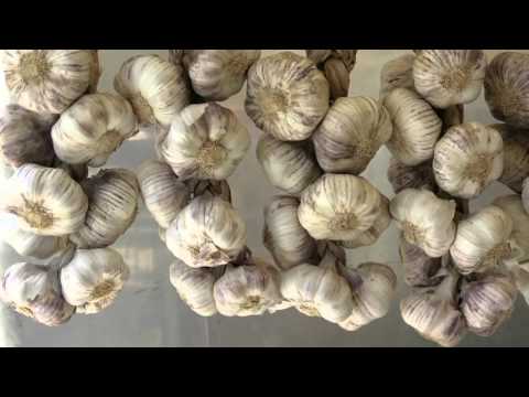 Видео: Утренний эфир / Фитонциды